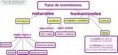 MAPAS CONCEPTUALES